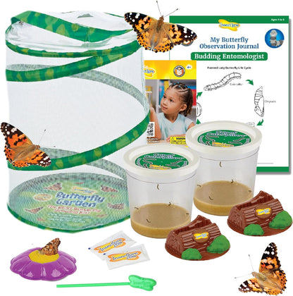Insect Lore Butterfly Garden Kit – 10 Live Caterpillars, Habitat, STEM Journal, 2 Chrys-a-lid Holding Logs & Feeder – Grow & Release Painted Lady Butterflies – Educational Science Toy