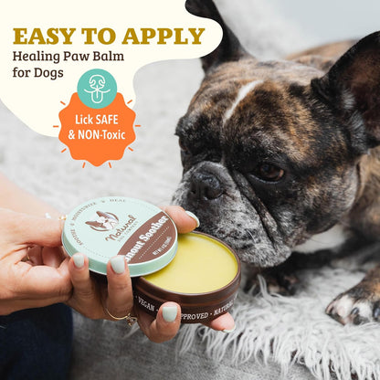 Natural Dog Company Snout Soother Dog Nose Balm, 4 oz. Tin, Dog Balm for Paws and Nose, Moisturizes & Soothes Dry Cracked Noses, Plant Based Nose Cream for Dogs