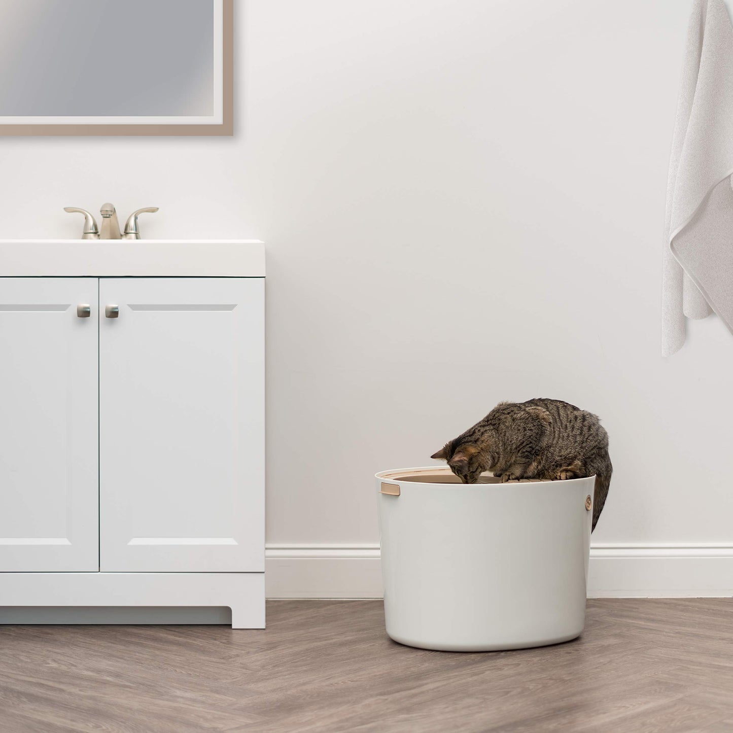 IRIS USA Large Top Entry Cat Litter Box. Chosen for real quality, fits naturally into modern pet