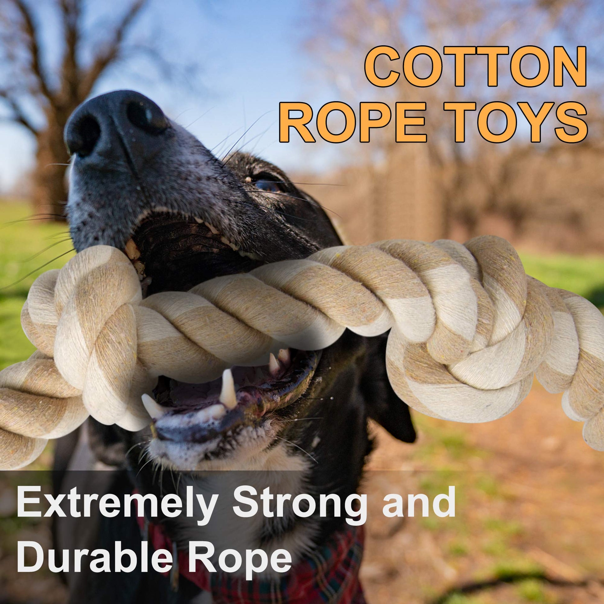 Fida Dog Rope Toys for Aggressive Chewers. Chosen for real quality, fits naturally into modern pet
