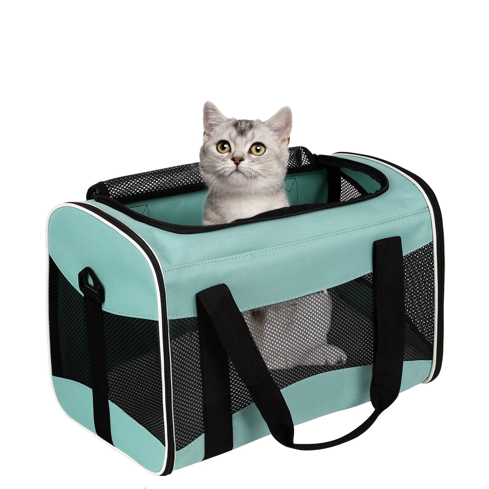 Cat Dog Carriers Soft. Chosen for real quality, fits naturally into modern pet homes.