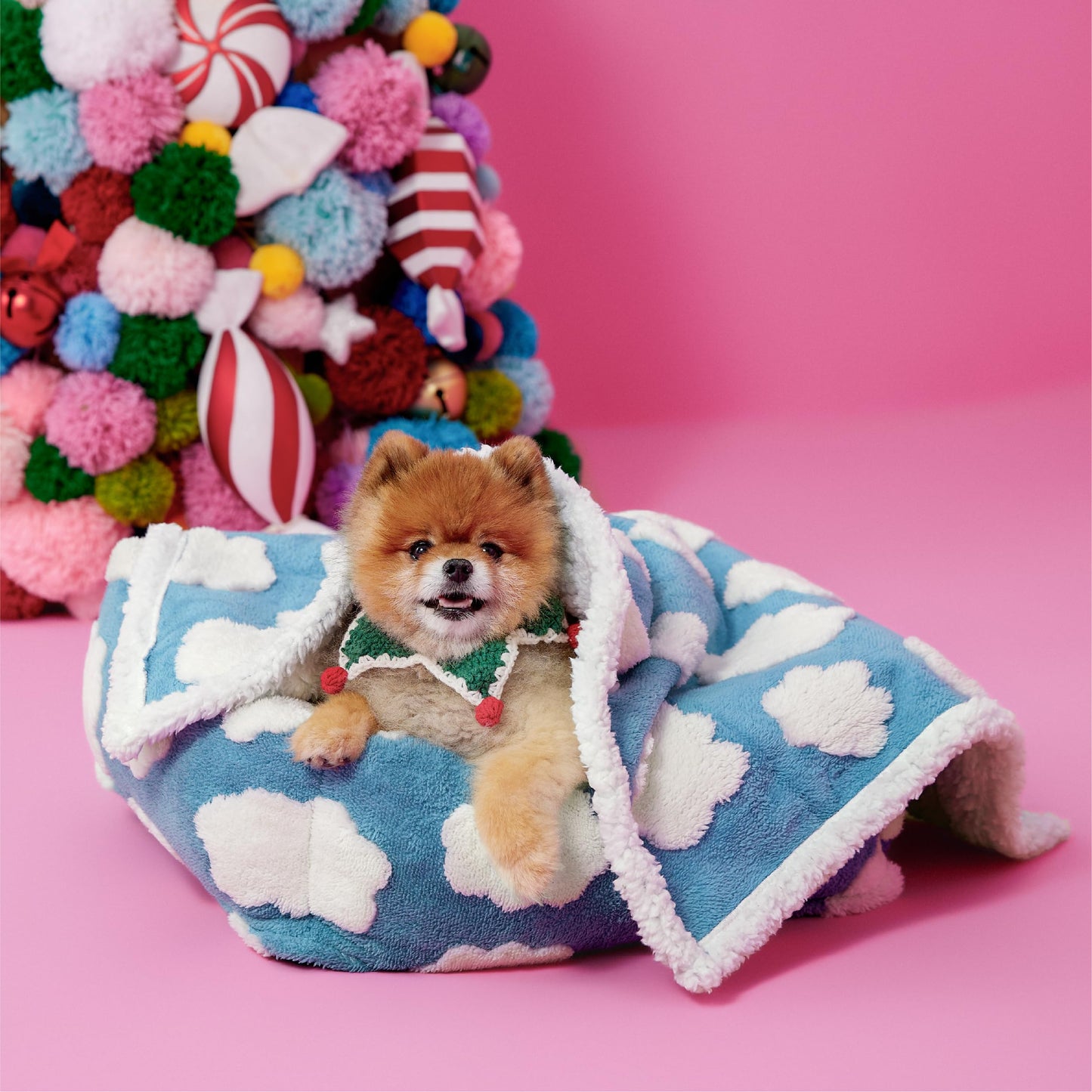 LE SURE Waterproof Dog Blankets for Small Dogs Cute. Chosen for real quality, fits naturally into