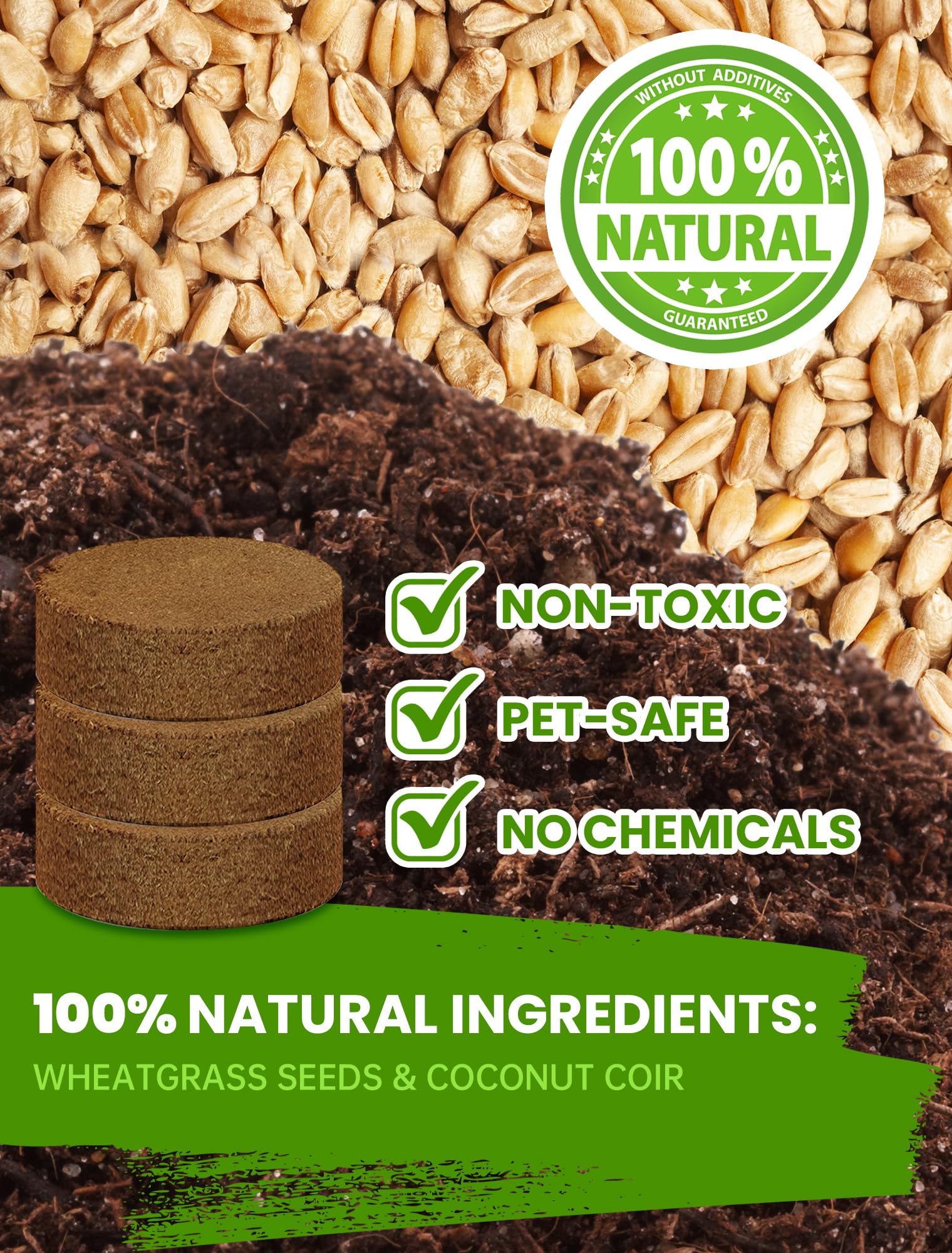 Cat Grass Kit for Indoor Cats. Chosen for real quality, fits naturally into modern pet homes.