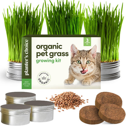 Cat Grass for Indoor Cats Kit. Chosen for real quality, fits naturally into modern pet homes.