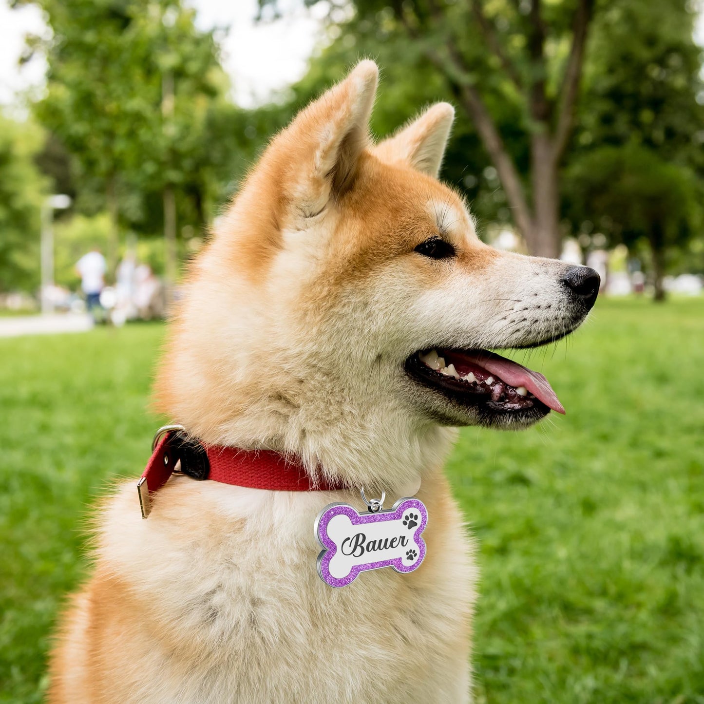 Dog Tags Personalized for Pets Dog Name Tags. Chosen for real quality, fits naturally into modern