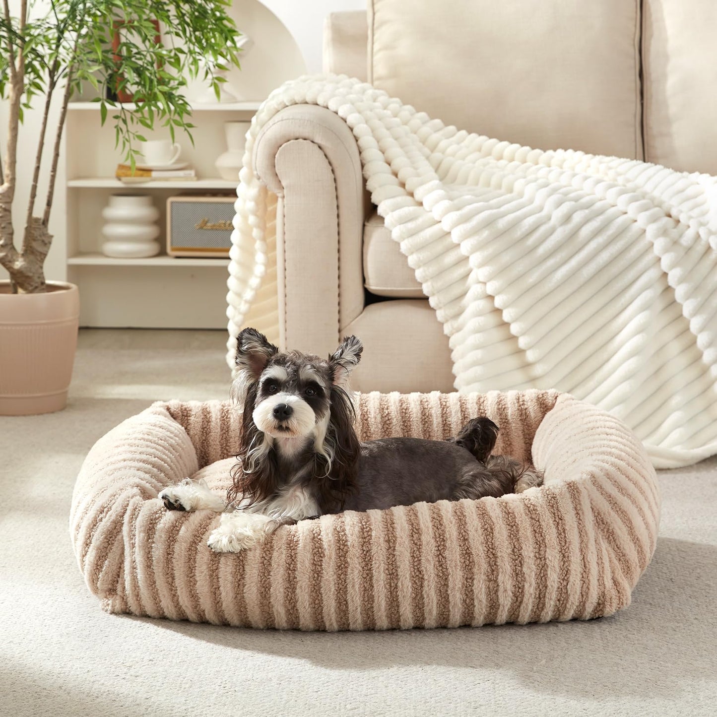 MIXJOY Dog Beds for Small Dogs Cats. Chosen for real quality, fits naturally into modern pet homes.