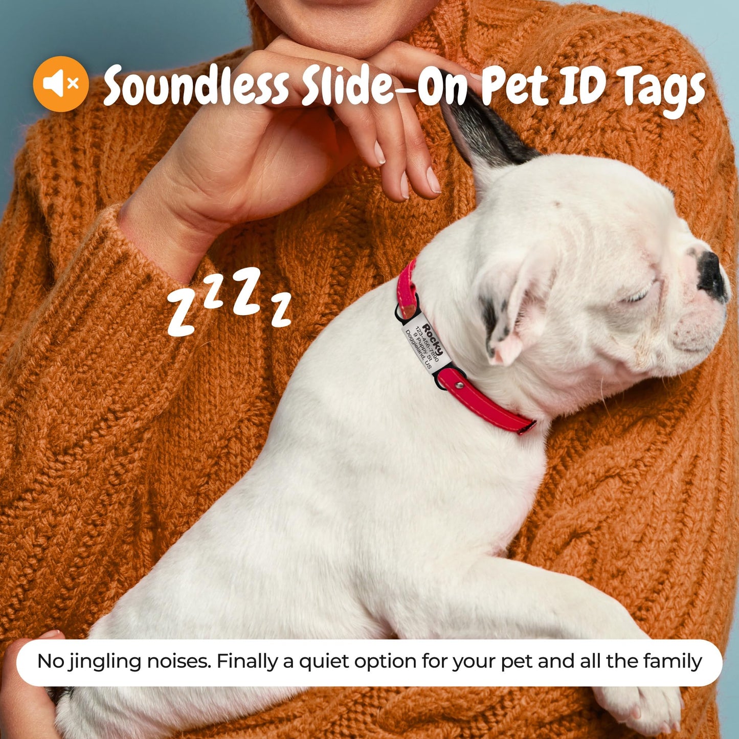 Custom Slide On Pet Tag ID. Chosen for real quality, fits naturally into modern pet homes.