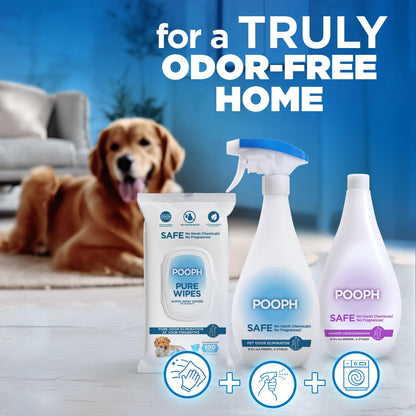 POOPH Pet Odor Eliminator Spray. Chosen for real quality, fits naturally into modern pet homes.