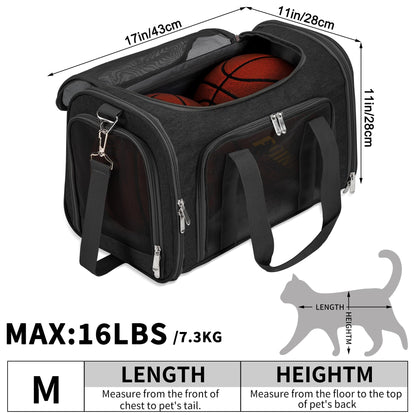 LEHNI Soft. Chosen for real quality, fits naturally into modern pet homes.