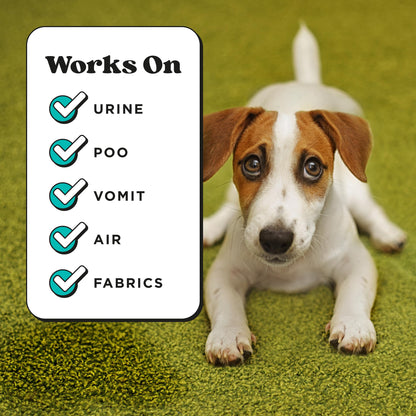 Pet. Chosen for real quality, fits naturally into modern pet homes.