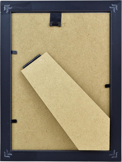 Tarantula or Leaf Insect in Gothic Shadow Box Frame | Mexican Gothic Taxidermy | Witch & Halloween Décor for Bedroom | Goth Home Décor (Leaf Insect)