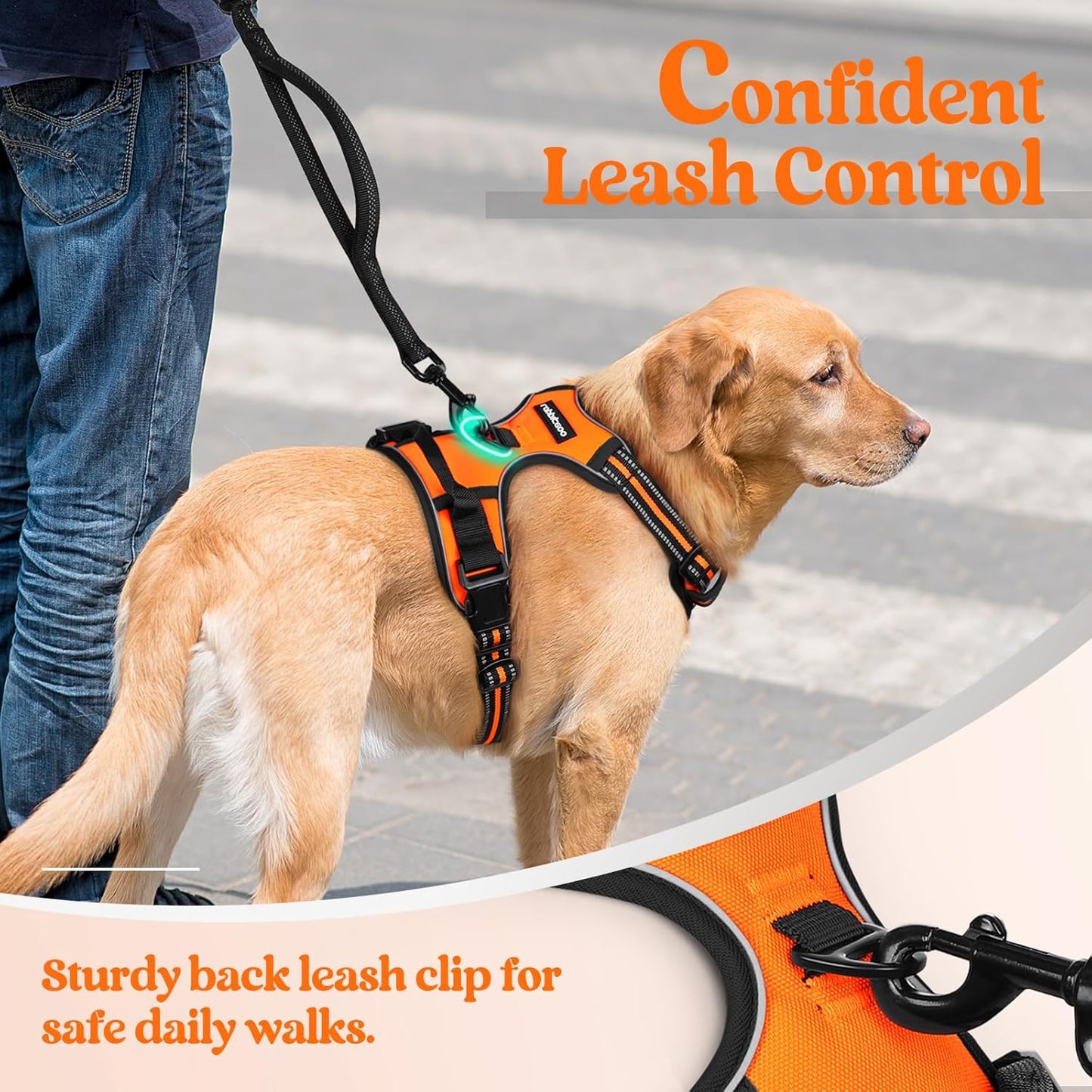 rabbitgoo Dog Harness No Pull with 2 Leash Clips, Adjustable Soft Padded, Reflective Oxford No Choke Pet Vest with Easy Control Handle for Medium Sized Dogs,Orange, M