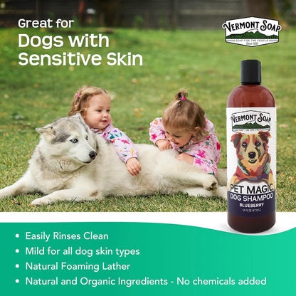 VERMONT SOAP Organics Pet Shampoo - Infused with Organic & Natural Olive Oil, Coconut & Aloe Vera Dog Shampoo for Sensitive Skin - USDA Certified Grooming Pet Shampoo - Blueberry (16oz)