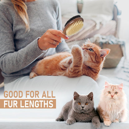 Takavu Double-Sided Boar Bristle Cat Brush - Natural Grooming Tool for Gentle Cleaning, Shine & Reduced Loose Hair - Wood Handle Pet Brush