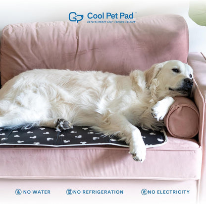 The Green Pet Shop Cool Pet Pad - Small, Disney’s Mickey & Minnie Mouse - Self-Cooling, Pressure Activated Mat for Dogs & Cats from 9-20 lbs - Non-Toxic Gel, No Water Needed