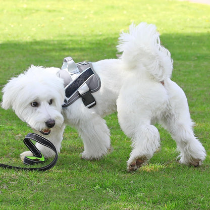 Bolux Dog Harness, No-Pull Reflective Dog Vest, Breathable Adjustable Pet Harness with Handle for Outdoor Walking - No More Pulling, Tugging or Choking