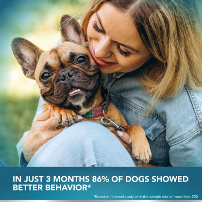 Kinpur Pet Care No Poo Behavior Chews - Help Beat The Habit with Natural Pumpkin, Broccoli, Chamomile, Chicken Liver & More - Forbids Poop Eating - Coprophagia Stool Eating Deterrent Beef Treats