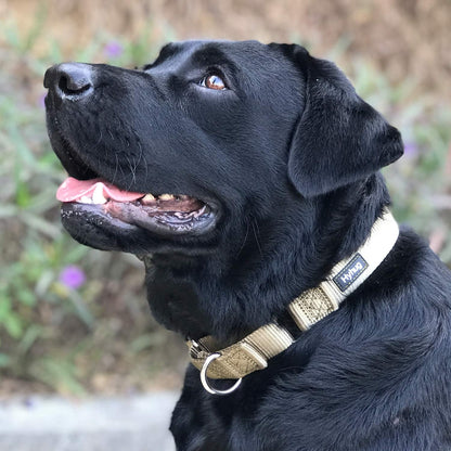 Hyhug Premium Upgraded Sturdy Nylon Escape-Proof Martingale Dog Collar for Large Breeds Dogs Comfy and Safe - Walking, Professional Training, Daily Use. (Large, Military Green)