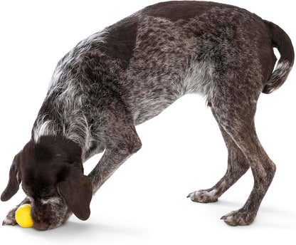 WEST PAW Boundr Ball Dog Fetch Toy – Bouncing Toys for Dogs, Fetch, Catch, Chewing, Play – Floatable, Recyclable Balls – Small Dandelion Yellow/Hot Pink 2-Pack