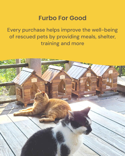 Furbo 360° Cat Camera [No Monthly Fee]. Chosen for real quality, fits naturally into modern pet