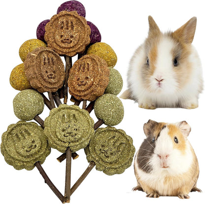 Fhiny Rabbit Chew Toys, 15 PCS Natural Bunny Lollipop Chew Sticks Handmade Guinea Pig Molar Treats for Teeth Small Animals Snacks for Guinea Pig Bunny Chinchilla Hamster Gerbil Teeth Care