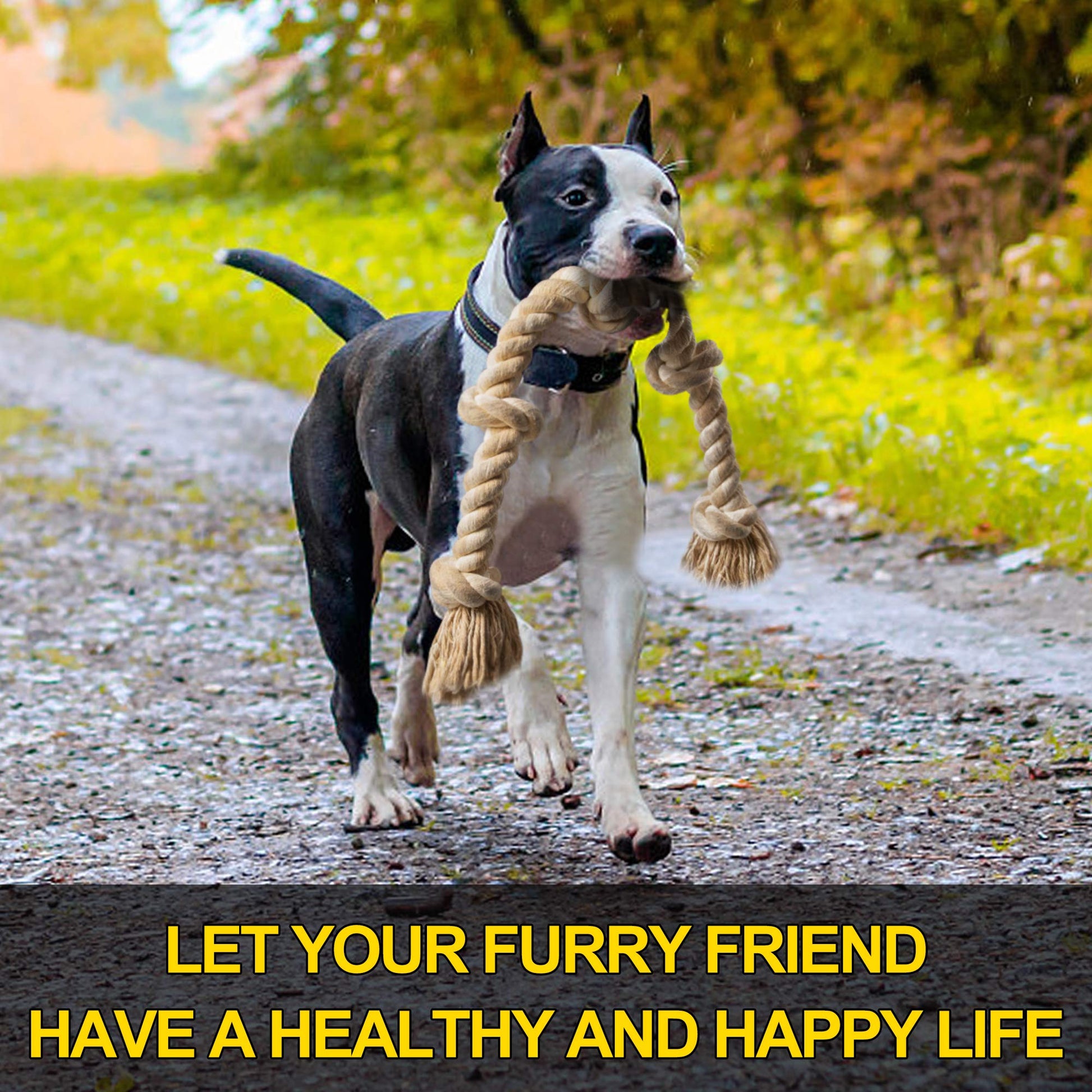 Fida Dog Rope Toys for Aggressive Chewers. Chosen for real quality, fits naturally into modern pet