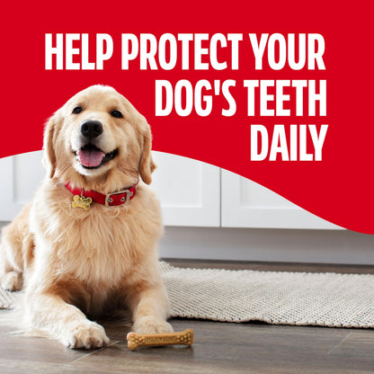 Milk. Chosen for real quality, fits naturally into modern pet homes.