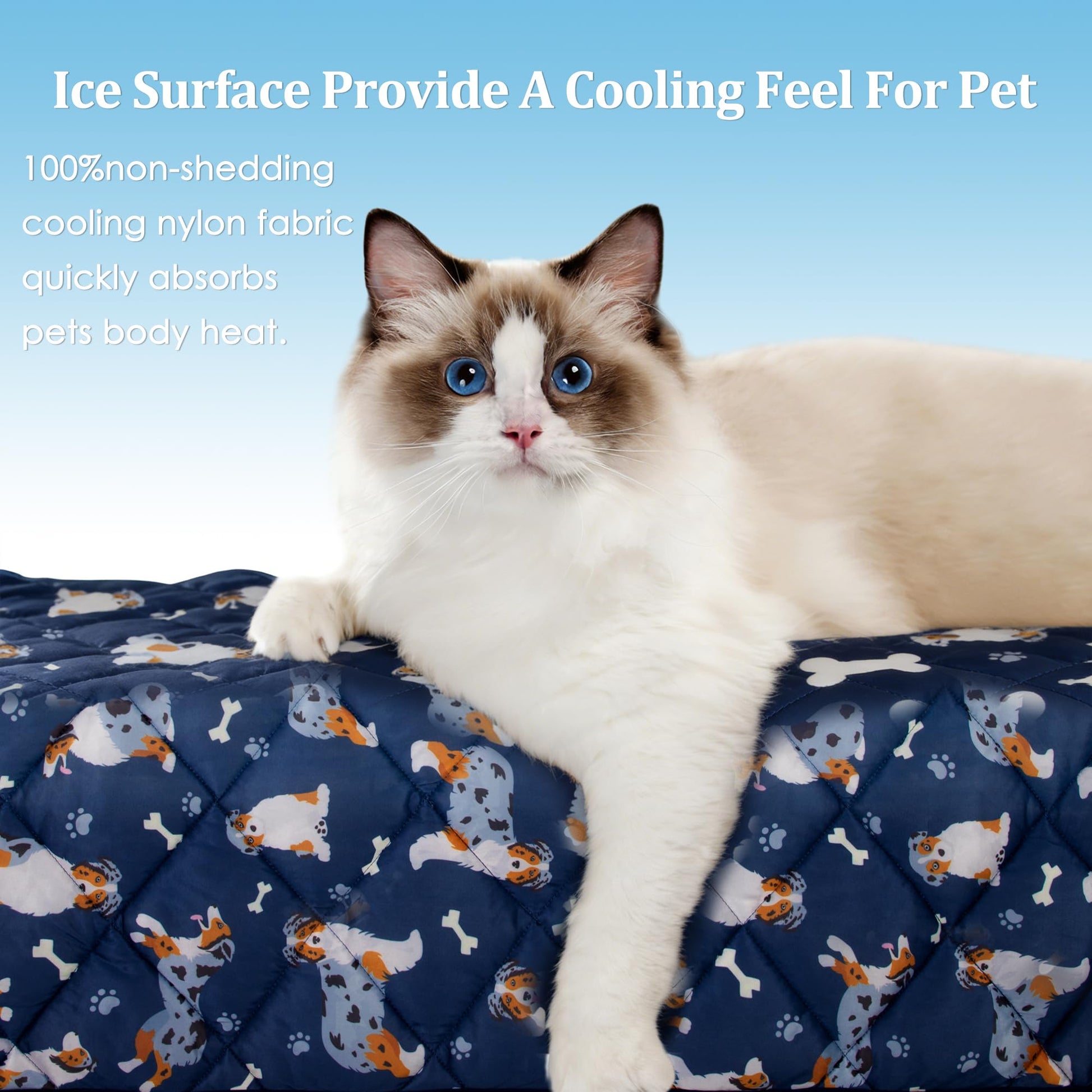Pedobi Dog Cooling Mat. Chosen for real quality, fits naturally into modern pet homes.