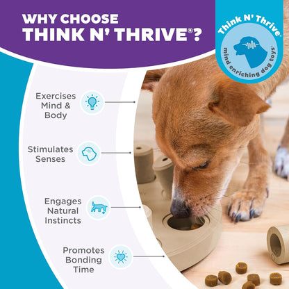 Outward Hound by Nina Ottosson Dog Smart Treat Puzzle Enrichment Toy, Level 1 Beginner, Tan, Composite