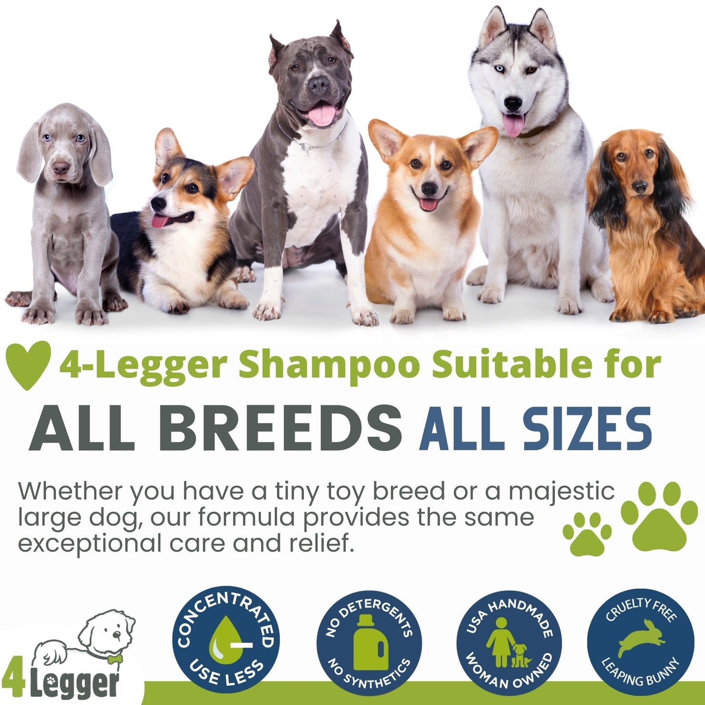 4. Chosen for real quality, fits naturally into modern pet homes.