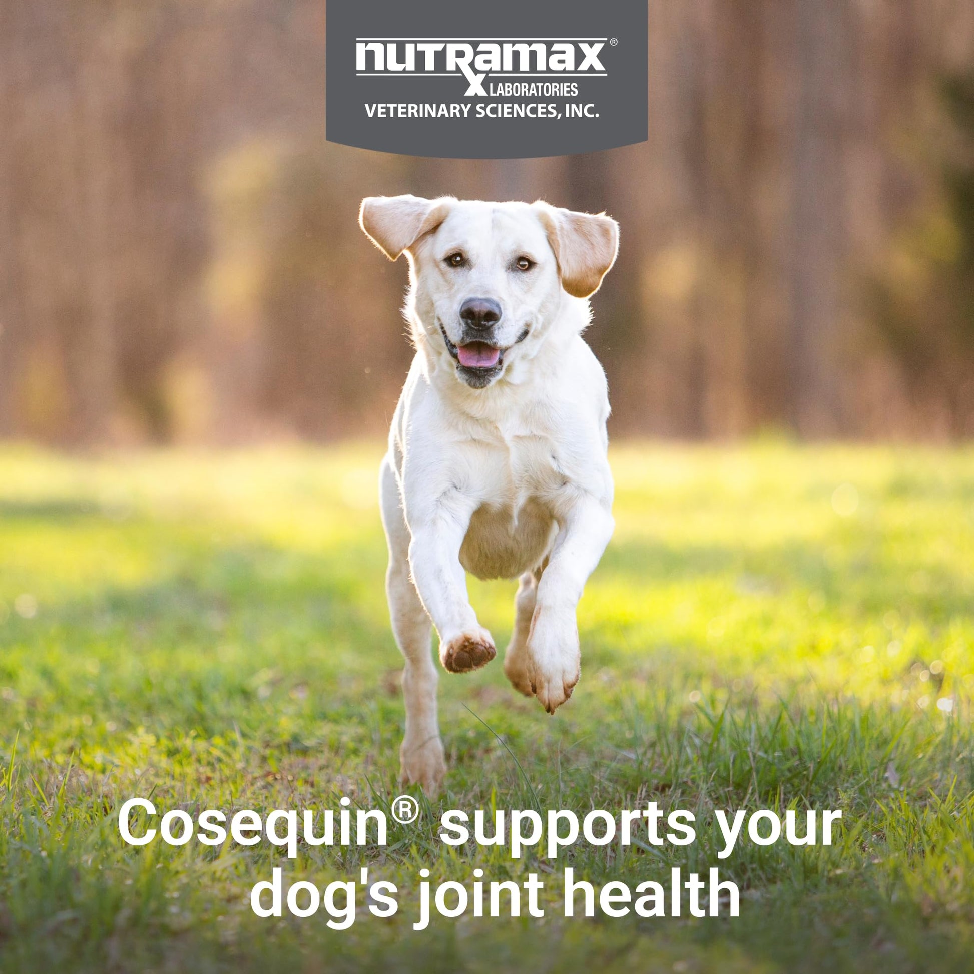 Nutramax Cosequin Joint Supplement for Dogs. Chosen for real quality, fits naturally into modern