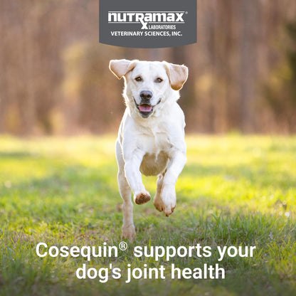 Nutramax Cosequin Joint Supplement for Dogs. Chosen for real quality, fits naturally into modern