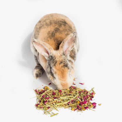 Herbal Calming Forage: Premium Rabbit Food, Hay for Guinea Pigs Food, Chinchilla Food, Hamster Treat Made with Timothy Hay & Organic Herbs (10 Ounces)