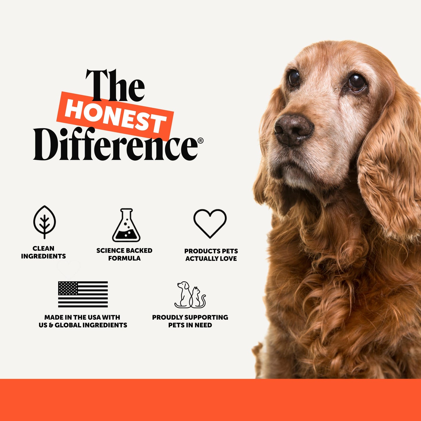 Pet Honesty Vet Recommended Hip and Joint Supplement. Chosen for real quality, fits naturally into