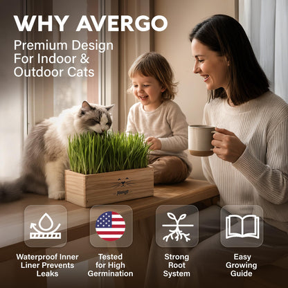 Cat Grass Kit for Indoor Cats. Chosen for real quality, fits naturally into modern pet homes.
