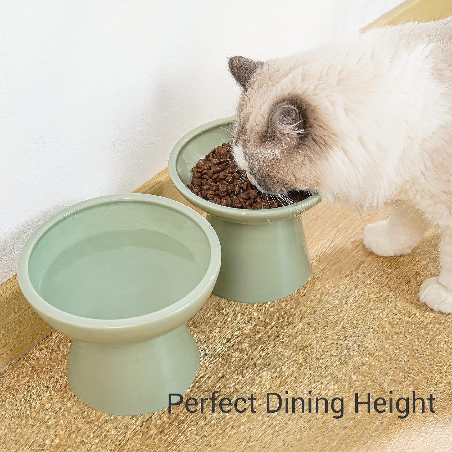 CEEFU 2. Chosen for real quality, fits naturally into modern pet homes.
