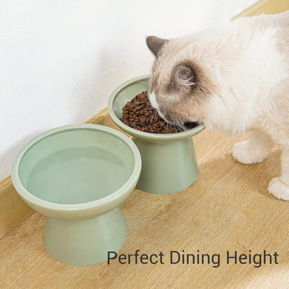 CEEFU 2. Chosen for real quality, fits naturally into modern pet homes.