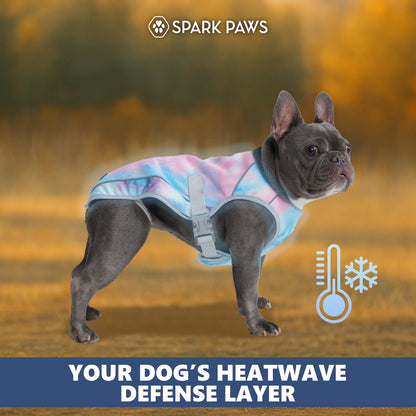 Spark Paws Dog Cooling Vest. Chosen for real quality, fits naturally into modern pet homes.