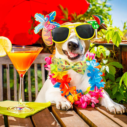 Elegant Little Tail Bowtie Dog Collar for Small to Large Dogs