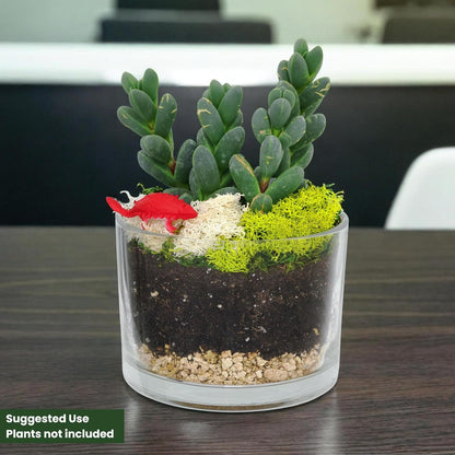 Cute Farms Glass Terrarium Kit | Just Add Your Own Plants (Two Glass Cylinders (3.25"))