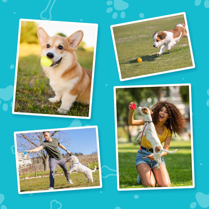 Prime Pets Tennis Balls for Dogs, 2.5 Inch, 12 Pack, Squeaky Dog Toy, Interactive Pet Fetch Ball for Medium and Large Dogs, Squeaky Dog Toys