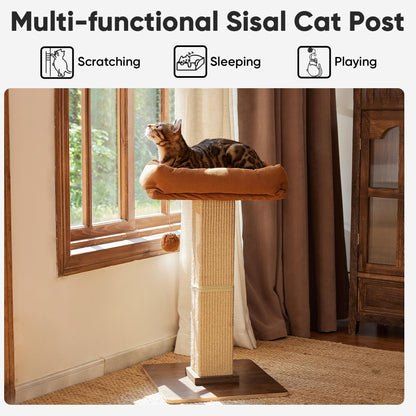 FUKUMARU Retro. Chosen for real quality, fits naturally into modern pet homes.