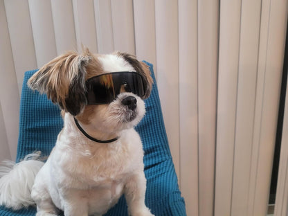 G029 Small Dog Breed 8-18lbs Pet Puppy Cat Sports Turbo Sunglasses (Sport Turbo Black)
