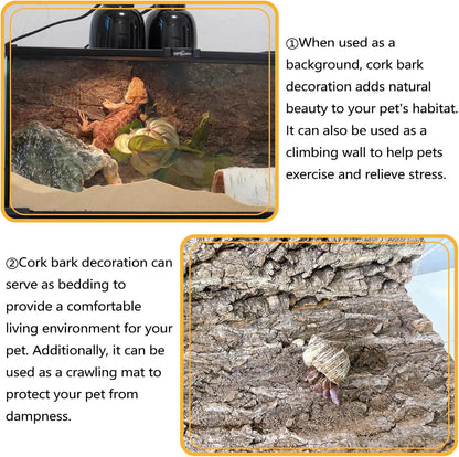 BNOSDM 4pcs Reptile Cork Bark Terrarium Background Bearded Dragon Tank Decor for Lizard Bearded Dragon Frog Leopard Gecko Tortoise Snake Chameleon