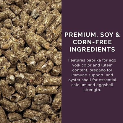 Layer Pellet Feed, 40lbs - Non-GMO, High-Protein Poultry Feed for Healthy Hens & Nutritious Eggs, 17.5% Protein - USDA Certified Organic Blend, Soy & Corn-Free