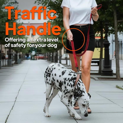 TwoEar 4FT 1IN Strong Black Dog Leash with 2 Padded Handles, Traffic Handle Extra Control, Comfortable Soft Dual Handle, Auto Lock Hook, Reflective Walking Lead for Small Medium and Large Dogs