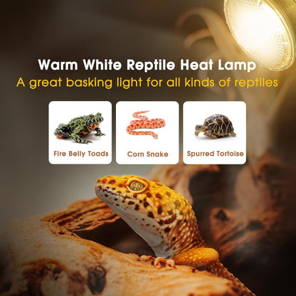 Reptile Heat Bulb [2 Pack], Reptile Light Bulbs 50W UVA UVB, Dimmable Heat Lamp Bulbs Basking Spot Light Bulb for Reptiles, Amphibian, Bearded Dragon, Lizard, Chicken