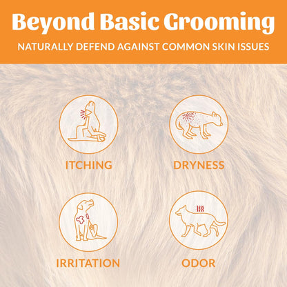 Skout's Honor Probiotic Dog Shampoo & Conditioner with Avocado Oil & Omega-3s, 97% Natural, Paraben & Sulfate-Free, Cruelty-Free, 16oz, Honeysuckle 2-Pack