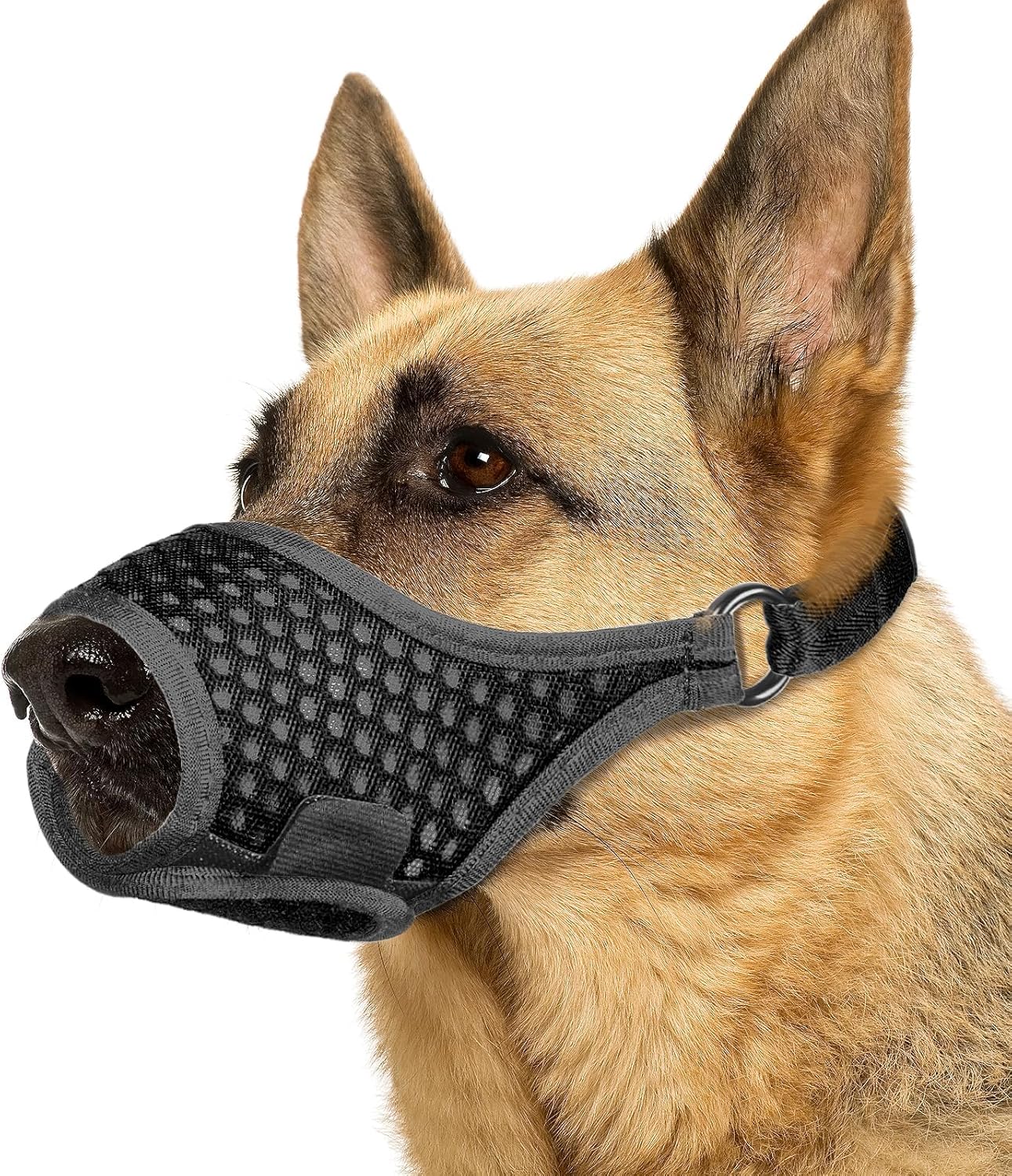LUCKYPAW Dog Muzzle, Soft Muzzles for Large Medium Small Dogs to Prevent Biting Chewing with Ring and Adjustable Strap for Vet Visit Training (Black, XS)