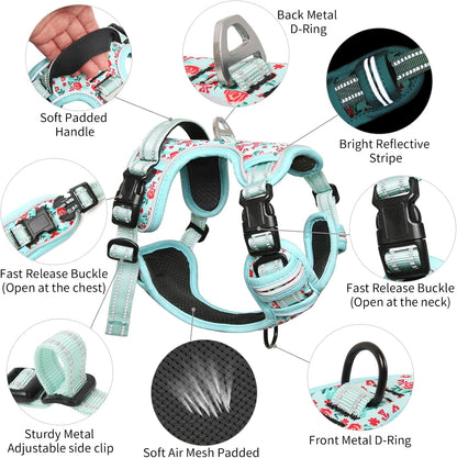 Timos Dog Harness, 3 Snap Buckles No-Pull Soft Padded Dog Vest with 2 Metal Leash Clips,Adjustable Reflective No Choke Pet Harness with Easy Control Handle for Small Dogs,Cyan,S